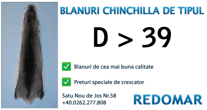 Blanurile de chinchilla de tipul d 39 - Redomar SRL