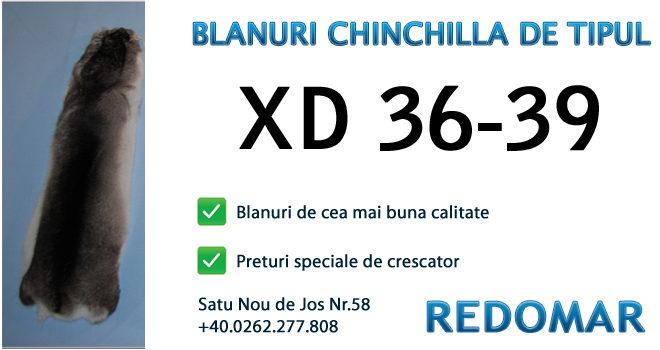 Blanurile de chinchilla de tipul xd 36-39 - Redomar SRL