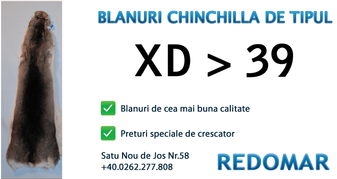 Blanurile de chinchilla de tipul xd 36-39 - Redomar SRL