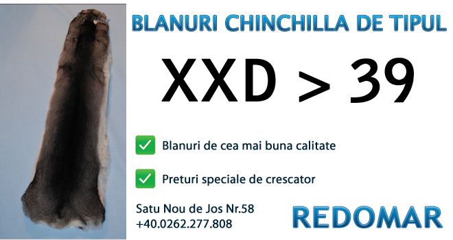 Blanurile de chinchilla de tipul xxd 39 - Redomar SRL