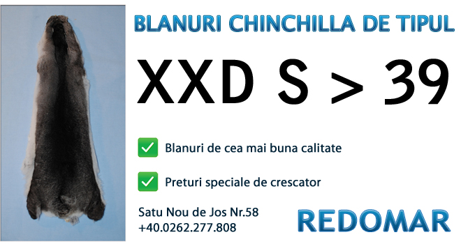 Blanurile de chinchilla de tipul xxd s 39 - Redomar SRL