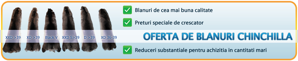 Oferta de blanuri de chinchilla: XXD>39, XD>39, Black V, XXD S>39, D >39, XD 36 - 39